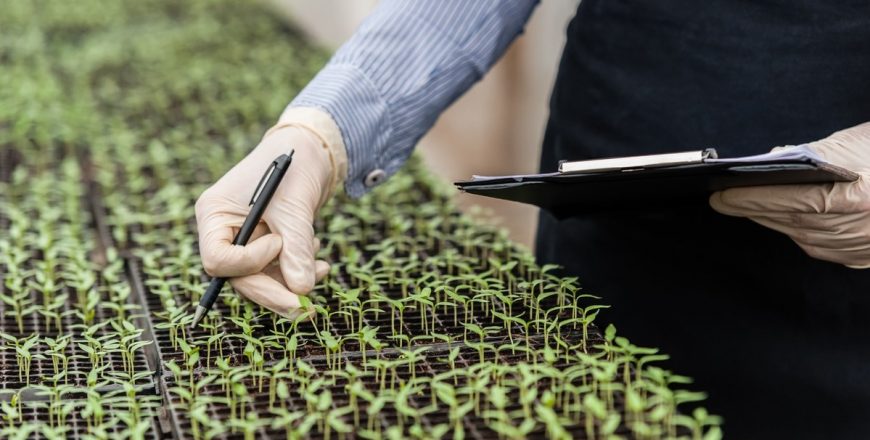 Manager in agrifood green
