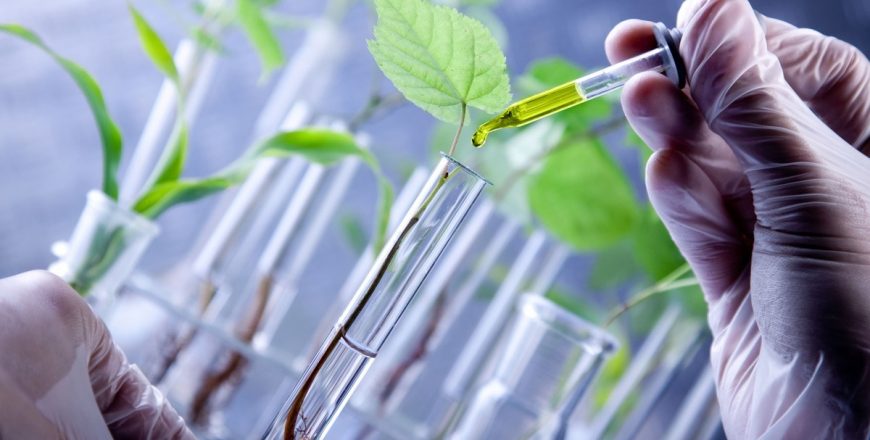 Corso biotecnologie
